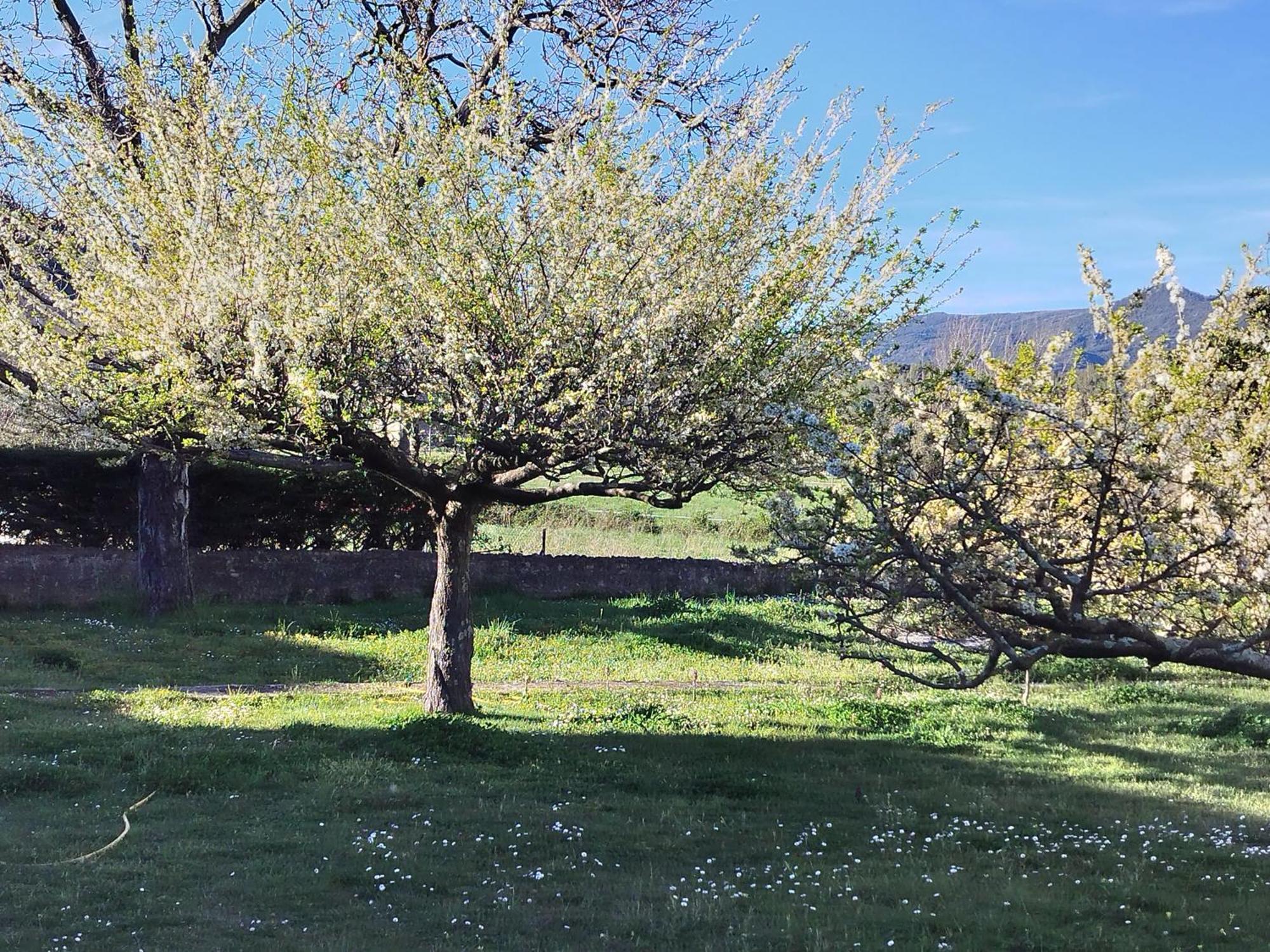 Finca Arep Alquiler Integro 6 Les Planes Les Planes d'Hostoles Luaran gambar